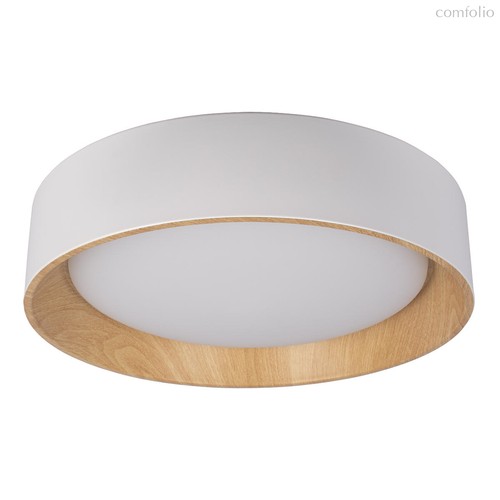 10202 White Потолочный светильник LOFT IT Coin - Loft It