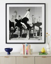 Квадратный постер Wenda &amp; Ostriches - Louvre Home