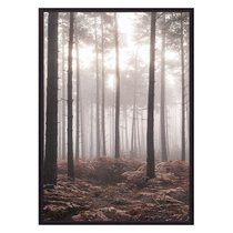 Туманный лес, 50x70 см - Dom Korleone