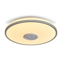 Потолочный светильник Freya FR6226CL-L36W - Freya