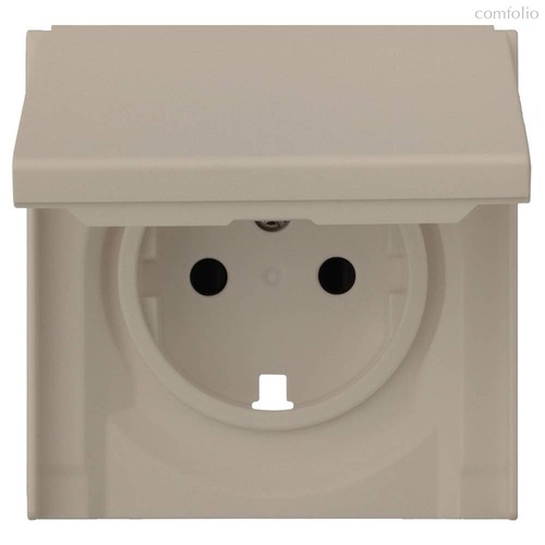 Лицевая панель для розетки 2к+з с крышкой 35634 LT, латте - Rikett