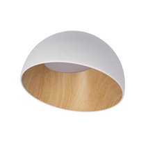 10197/350 White Потолочный светильник LOFT IT Egg - Loft It
