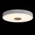10003/24 White Потолочный светильник LOFT IT Axel - Loft It