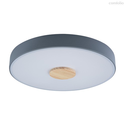 10003/24 Grey Потолочный светильник LOFT IT Axel - Loft It