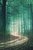 Зеленый лес 80х120 см, 80x120 см - Dom Korleone