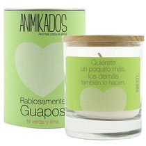 Свеча ароматическая Animikados, Absolutely Fabulous, Зеленый чай и лайм, 40 ч. - Ambientair