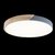 10004/36 Grey Потолочный светильник LOFT IT Axel - Loft It