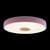 10003/24 Pink Потолочный светильник LOFT IT Axel - Loft It