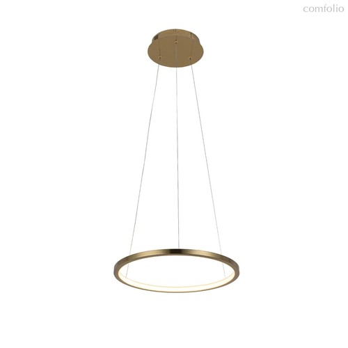 10014S Подвесной светильник LOFT IT Ring - Loft It