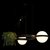 10121/2 Подвесной светильник LOFT IT Jardin - Loft It