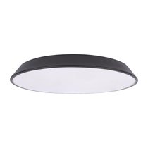 10226 Black Потолочный светильник LOFT IT Brim - Loft It