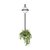 10121W/B Настенный светильник LOFT IT Jardin - Loft It